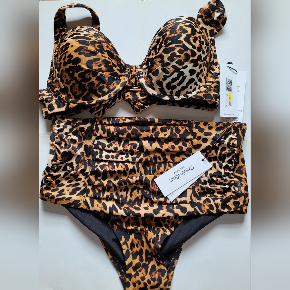 Animal Print Two Piece Bathing Suit